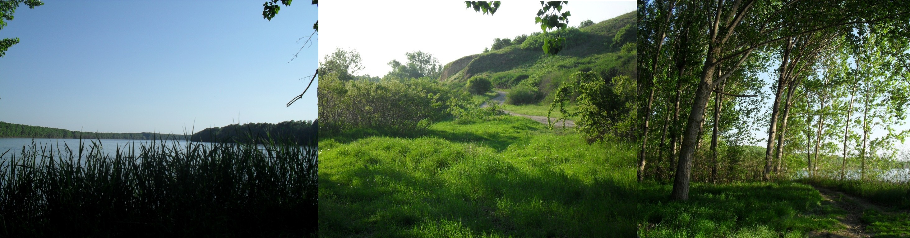 SDC16072.JPG