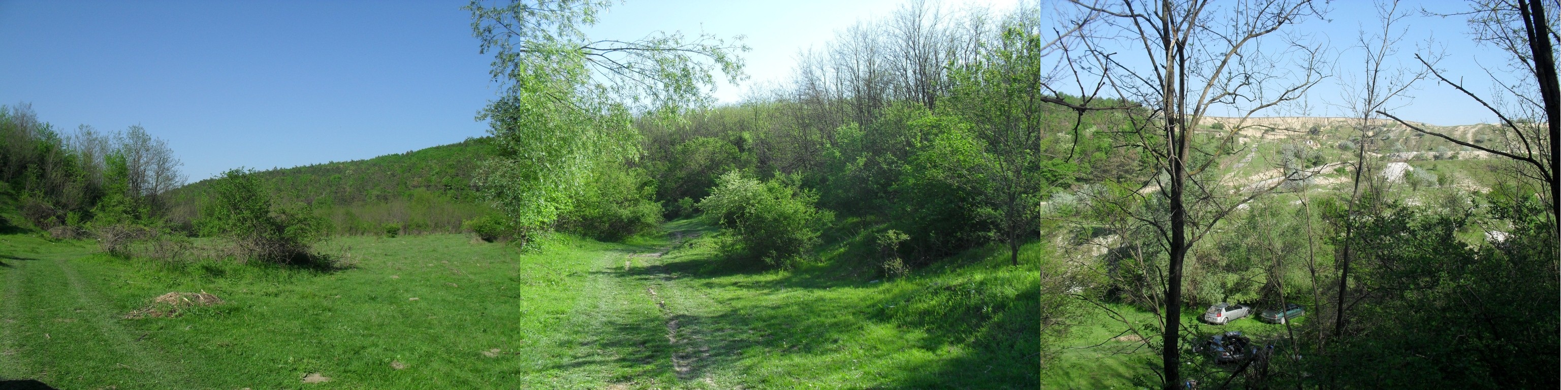 SDC16096.JPG