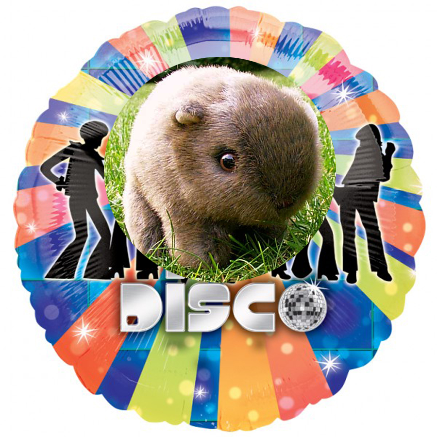 discoball copy.jpg