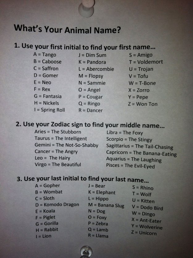 whats-your-animal-name.jpg