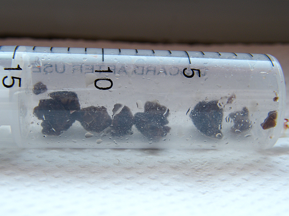DSCF8318.JPG