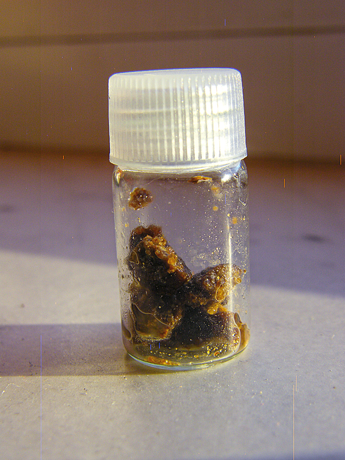 DSCF8322.JPG
