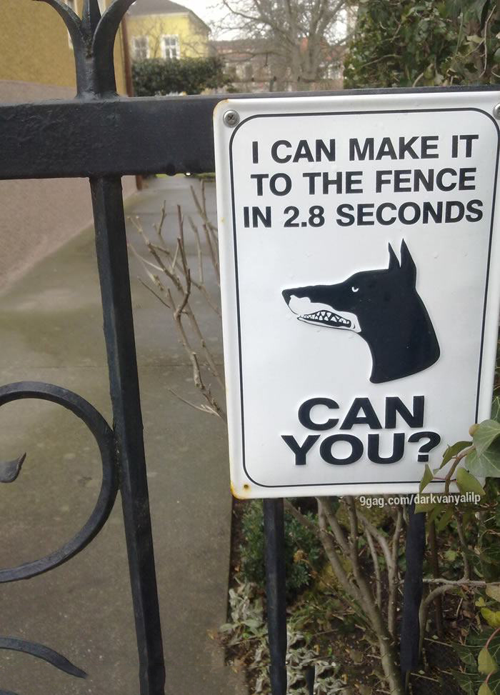 5455396_700b_v1.jpg