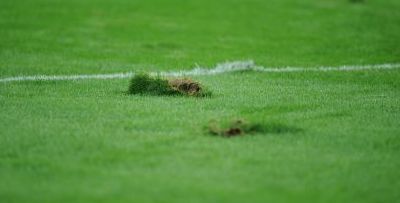 national-arena-in_1_size1.jpg