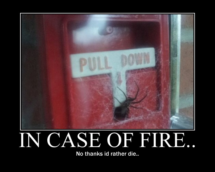 in_case_of_fire___by_aph_alfred_f_jones-d5zfo9t.jpg