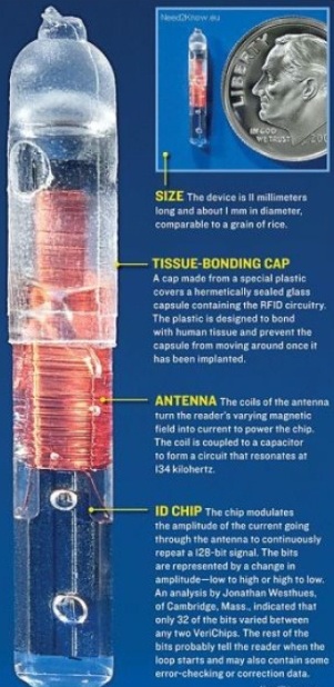 microcip.jpg