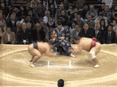 ninjaaaa.gif