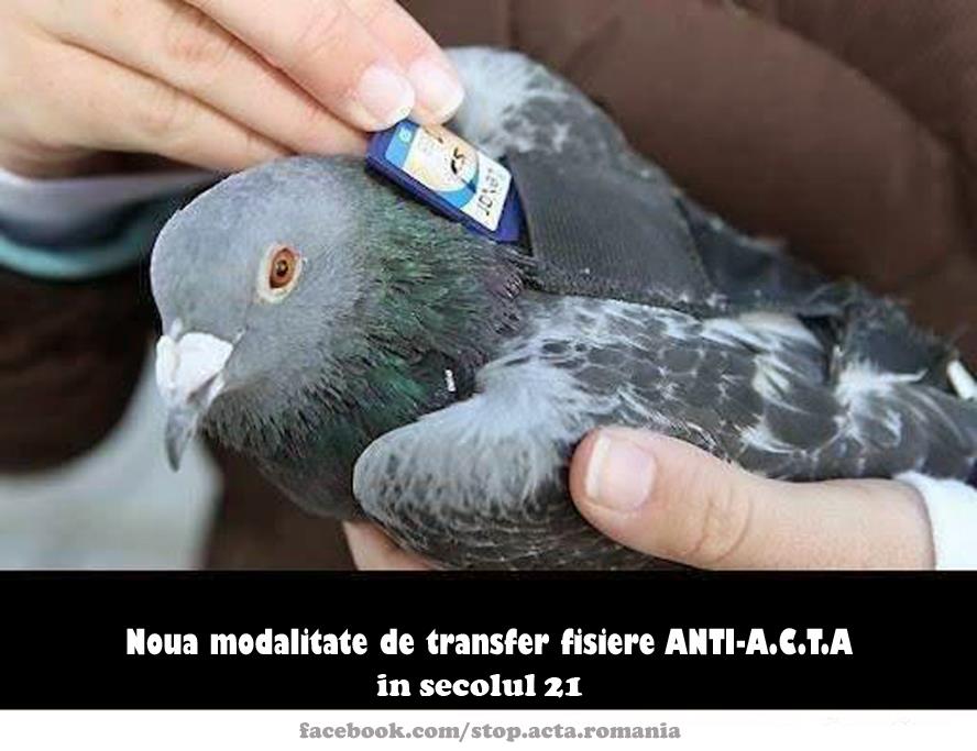 transfer fisiere_V2_0.jpg