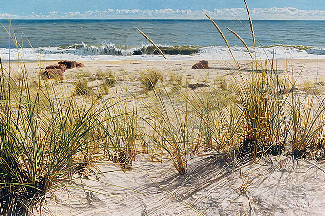 3-bch_beachgrass.jpg