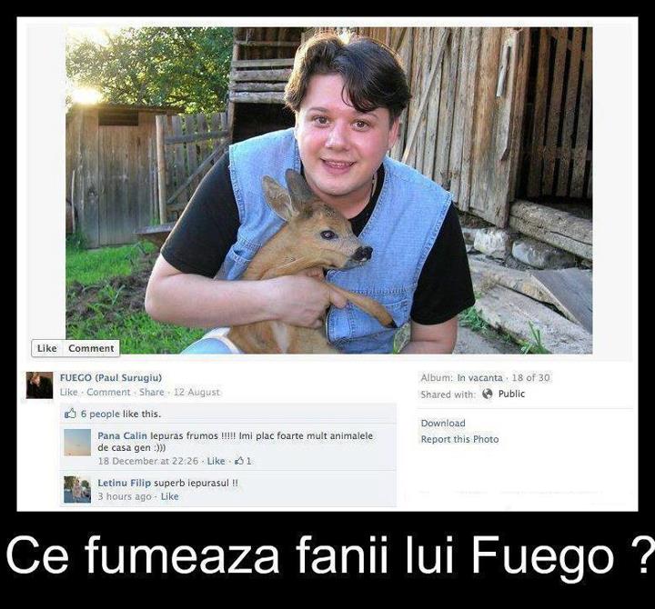 fuego2.jpg