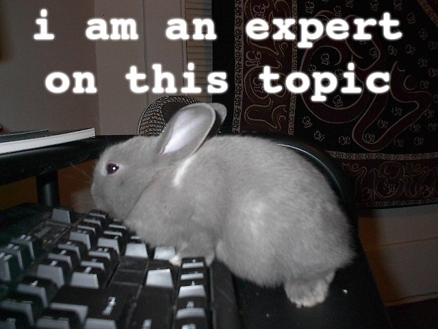 topic_expert.jpg